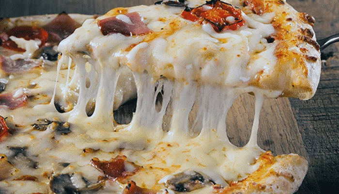 massa de pizza profissional