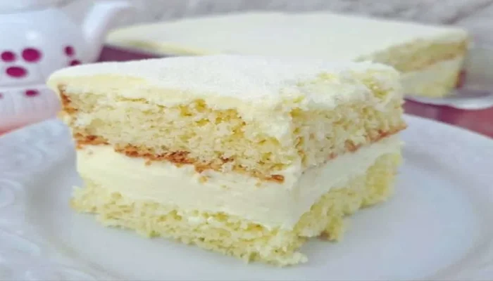 bolo gelado de leite ninho bem molhadinho e cremoso